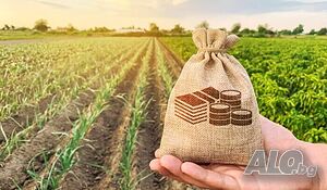 Продава се земеделска земя Земли сельхозназначения 21000 кв.м 3 категории | Сельскохозяйственная земля, Сады, Виноградники | Караджалово