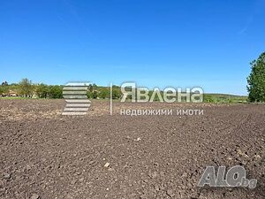 Къща с голям парцел Одноэтажный 70 кв.м РЗП 8630 кв.м двор | Дома/Дачи | Дряново