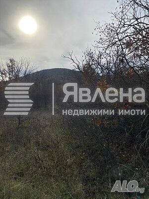 Продава се орехова гора - 10 000 кв.м. в село Търнава Лес 10000 кв.м 4 категории | Сельскохозяйственная земля, Сады, Виноградники | Търнава