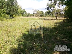 Двор с основи на къща в село Денница Продажа 700 кв.м Под застройку (УПИ) Без электричества Без воды | Участки под застройку, Инвестиционные проекты | Денница