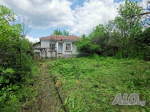 Къща, Вила с кладенец Одноэтажный 60 кв.м РЗП 3500 кв.м двор | Дома/Дачи | Стройно